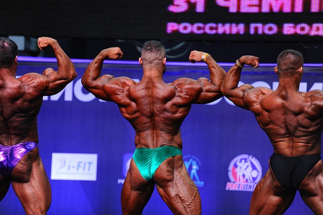 疑为湖人队 疑为湖人队